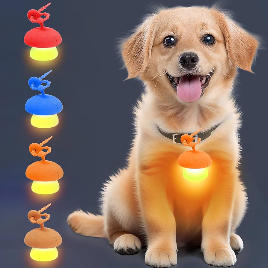 莉犬さん　リングライト11個セット Amazon | Sazuik 最新型 犬用光る首輪 散歩 ライト usb充電式